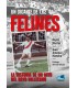 Felines, un gigante de 1,62