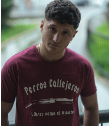 Camiseta Perros Callejeros Granate