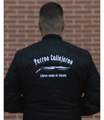 BOMBER NEGRA PERROS CALLEJEROS