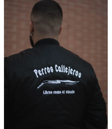 BOMBER NEGRA PERROS CALLEJEROS