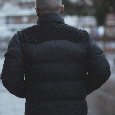 Shadow Killa Cold - Perros Callejeros