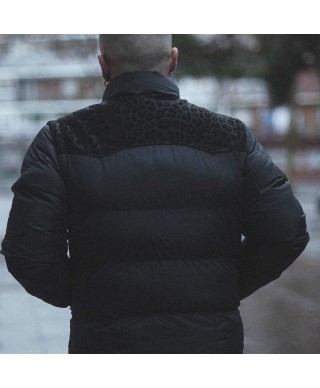 Shadow Killa Cold - Perros Callejeros