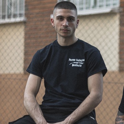 Camiseta Perros Callejeros x Bestiario