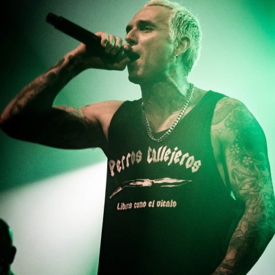 Camiseta tirantes Perros Callejeros