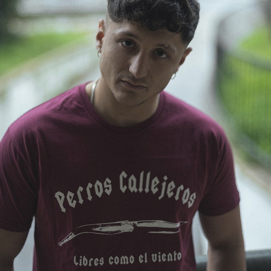 Camiseta Perros Callejeros Granate