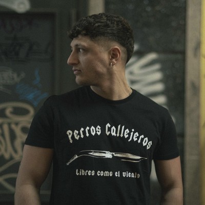 Camiseta perros callejeros