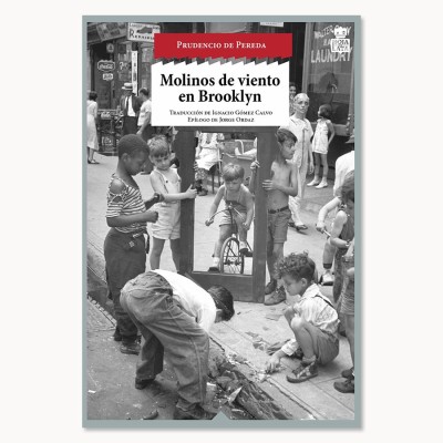 Molinos de viento en Brooklyn