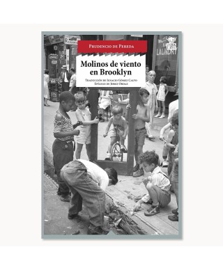 Molinos de viento en Brooklyn