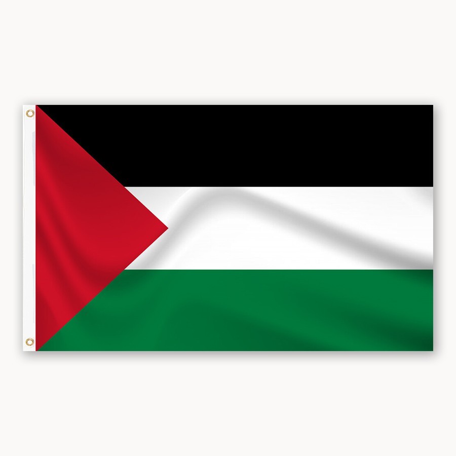 Bandera Palestina solidaria