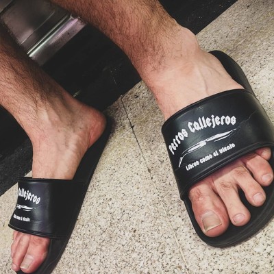 Chanclas Perros Callejeros